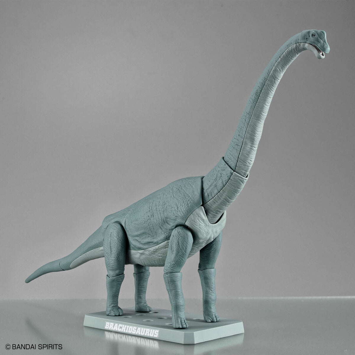 2723576 5067427 Bandai Plannosaurus Brachiosaurus Model Kit 4573102674272