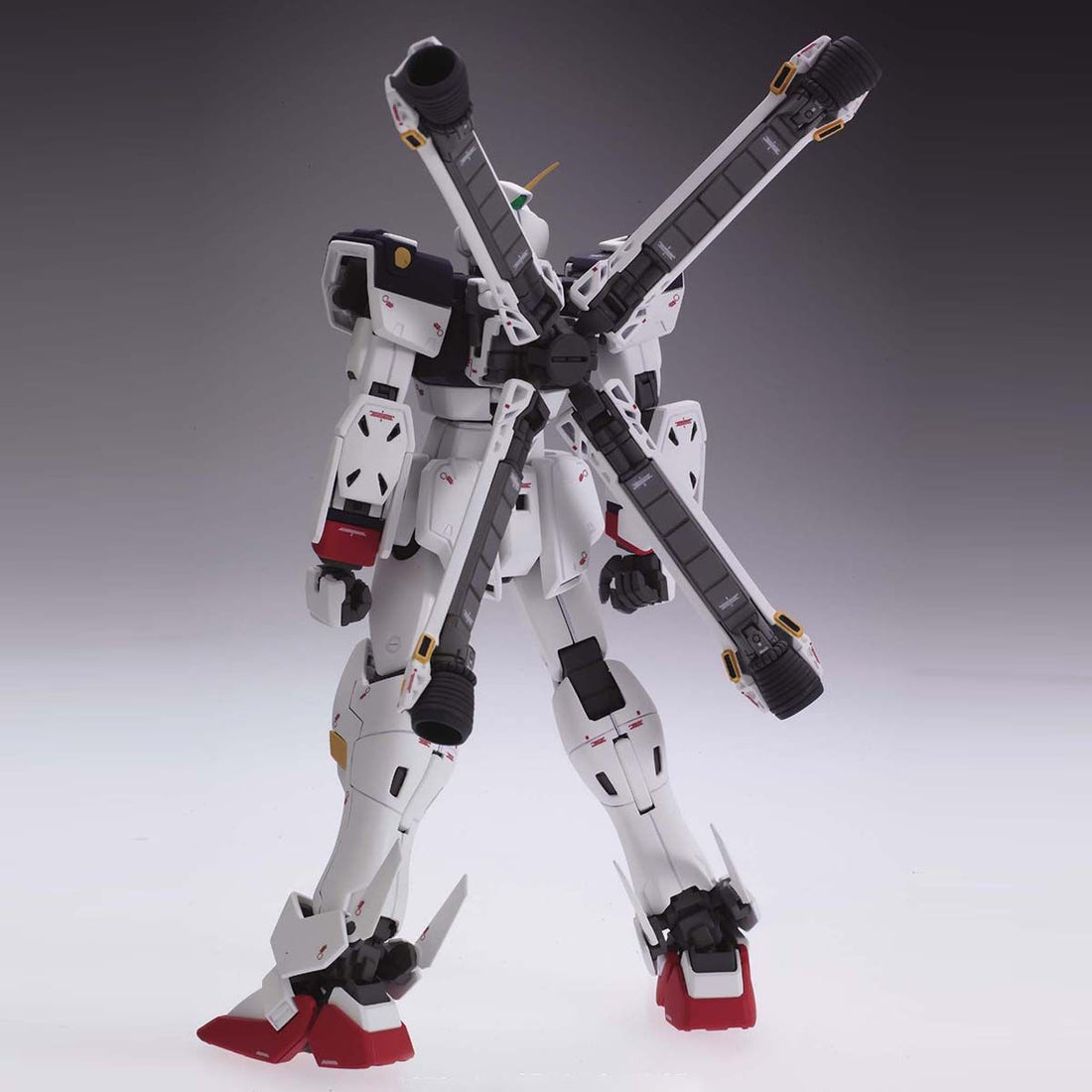 Bandai MG 1/100 XM-X1 Crossbone Gundam X-1 (Ver.Ka) Model Kit – Gunpla ...
