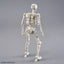 2815171 5072522 Bandai 30 Minutes Fantasy 30MF Dlroskeleton Model Kit 4573102725226