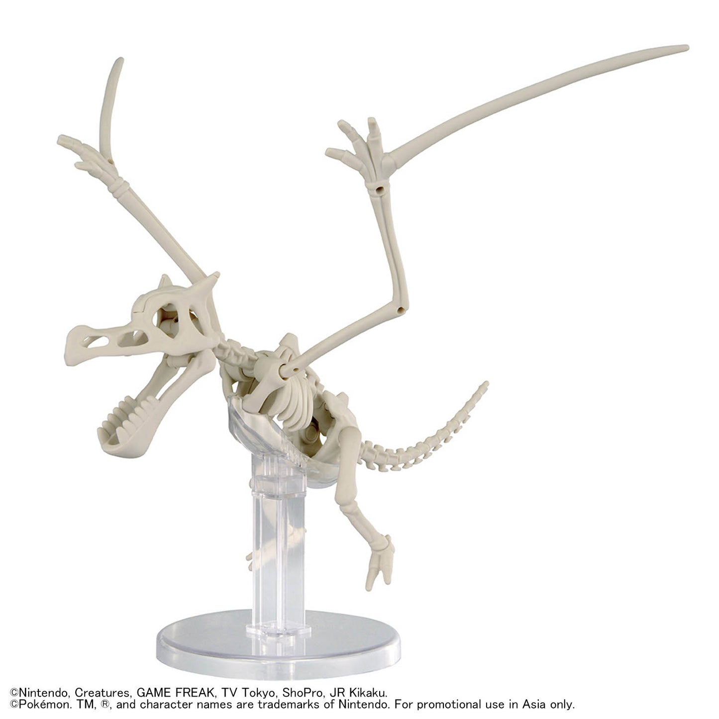 2840714 Bandai Pokemon Fossil Pokemon Series Aerodactyl Model Kit 4573102720832