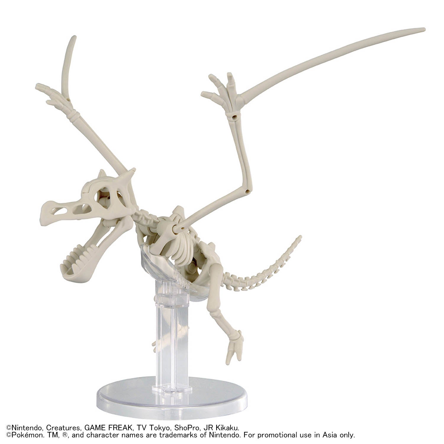 2840714 Bandai Pokemon Fossil Pokemon Series Aerodactyl Model Kit 4573102720832