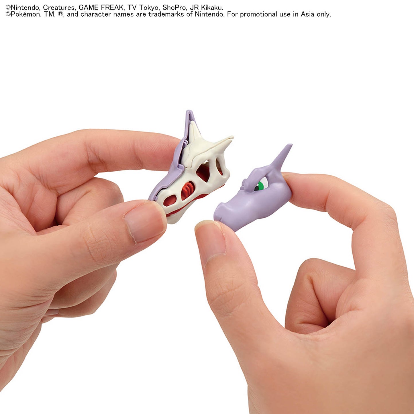 2840714 Bandai Pokemon Fossil Pokemon Series Aerodactyl Model Kit 4573102720832