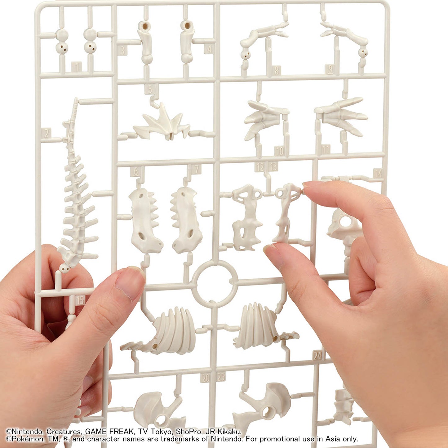 2840717 Bandai Pokemon Fossil Pokemon Series Tyrantrum Model Kit 4573102720856