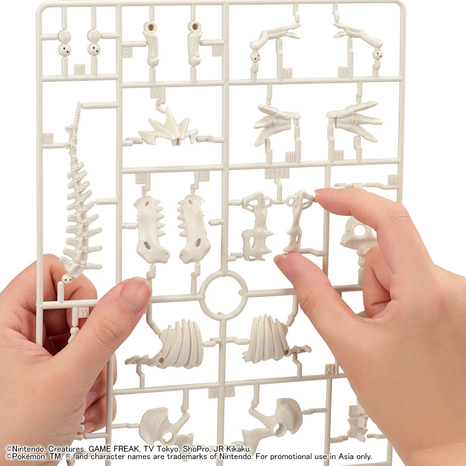 2840717 Bandai Pokemon Fossil Pokemon Series Tyrantrum Model Kit 4573102720856