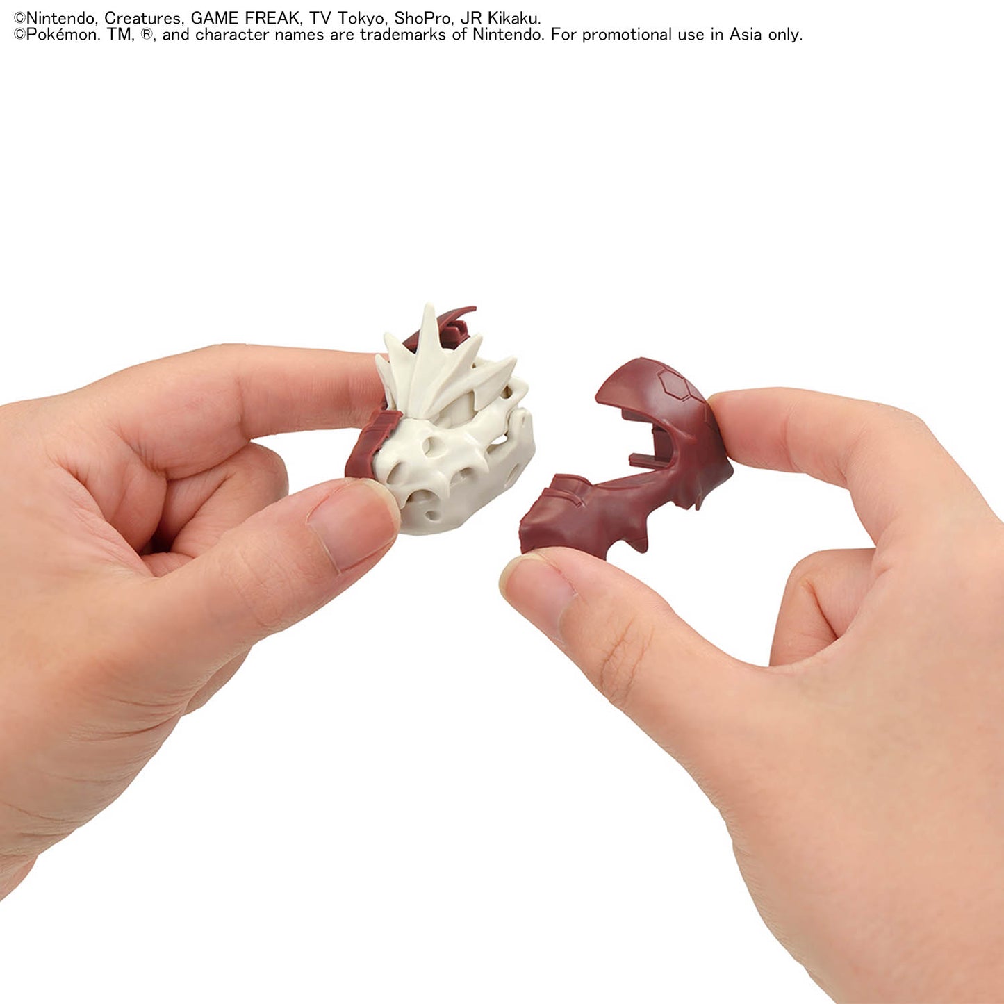 2840717 Bandai Pokemon Fossil Pokemon Series Tyrantrum Model Kit 4573102720856